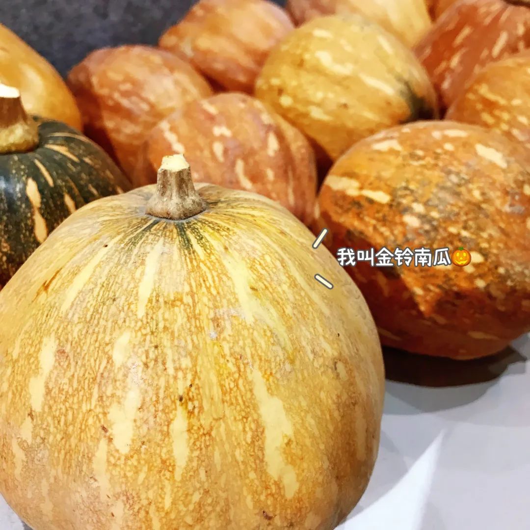 花城控股集团 花城控股集团