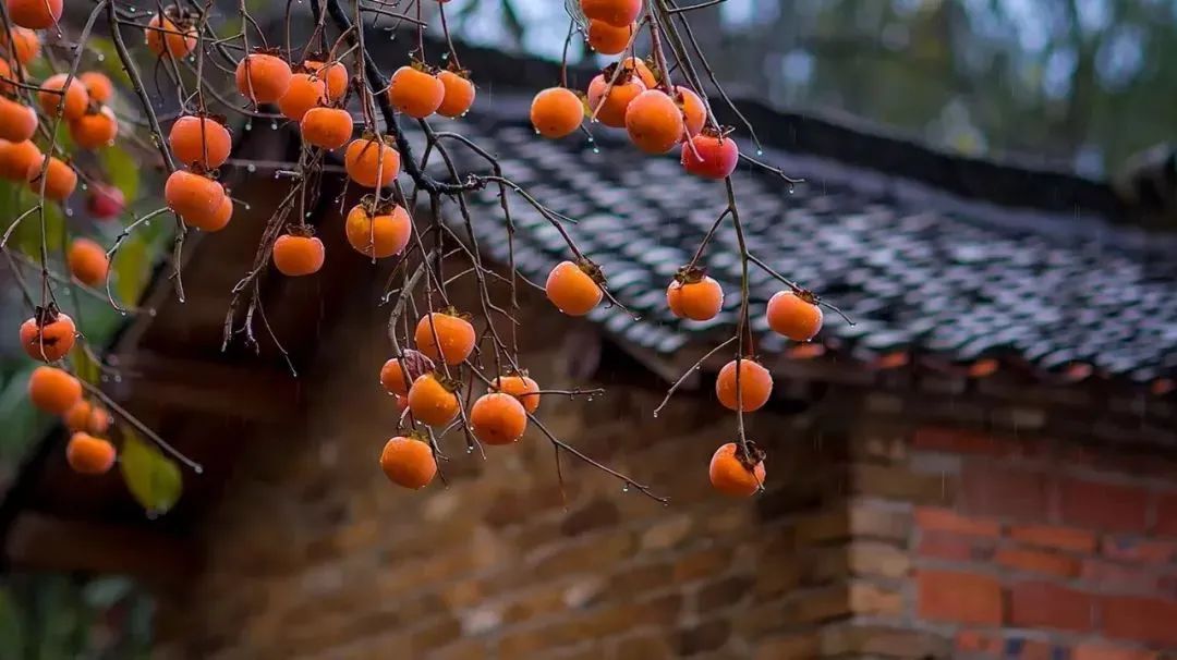 花城控股集团 花城控股集团