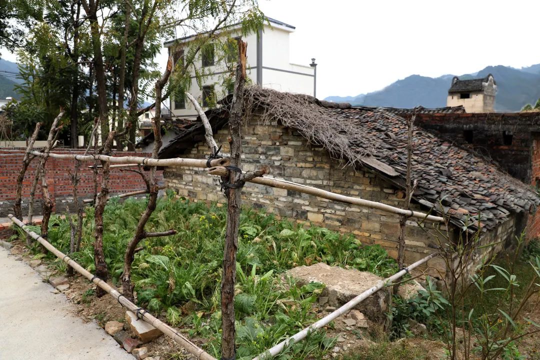 花城控股集团 花城控股集团