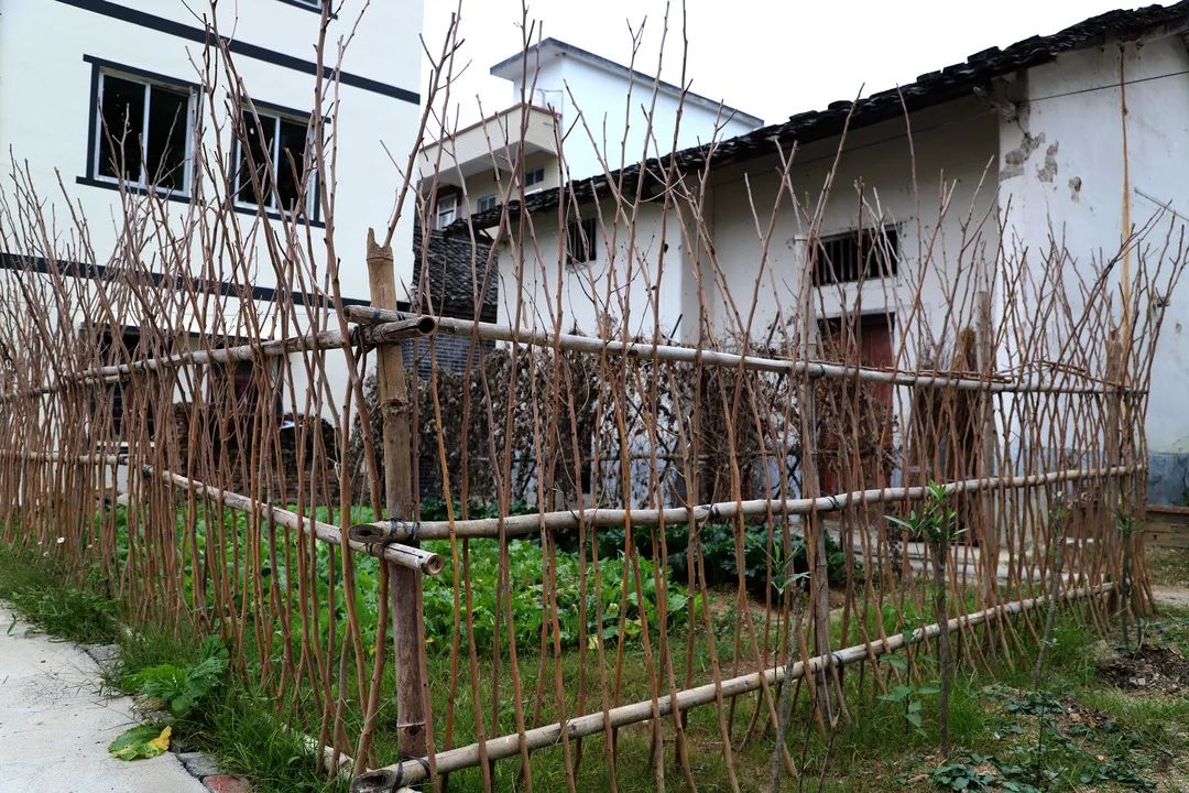 花城控股集团 花城控股集团