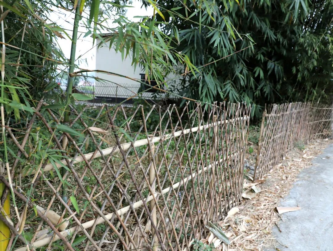 花城控股集团 花城控股集团