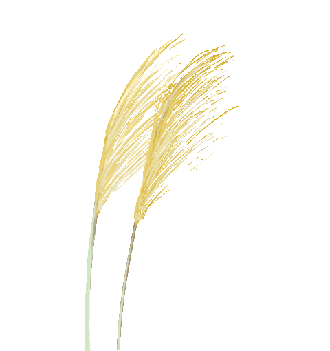 花城控股集团 花城控股集团