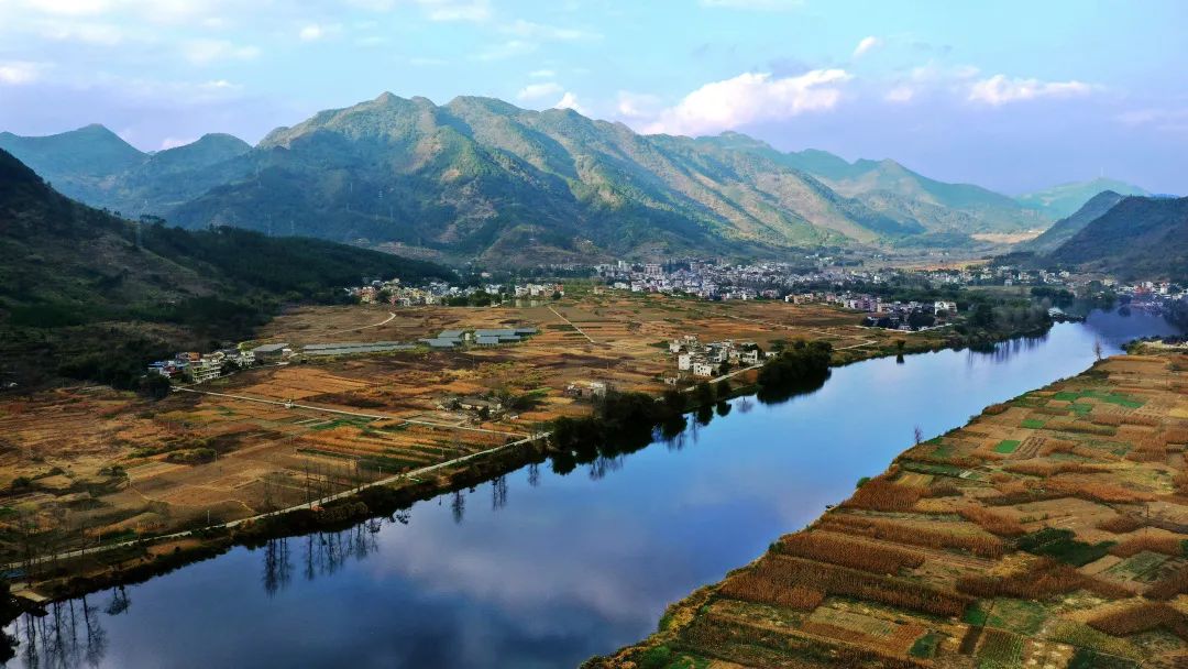 花城控股集团