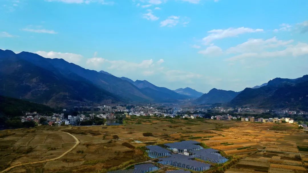 花城控股集团 花城控股集团