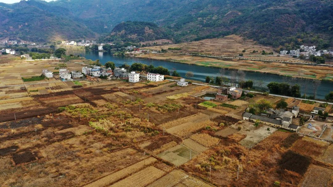 花城控股集团