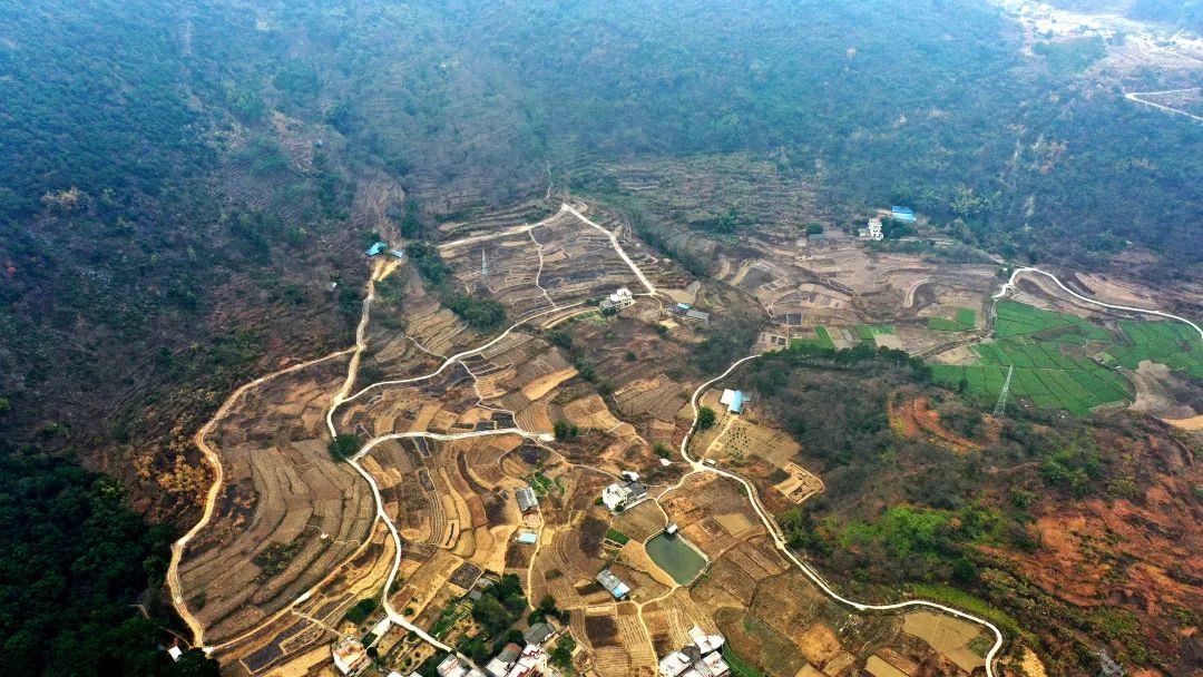 花城控股集团