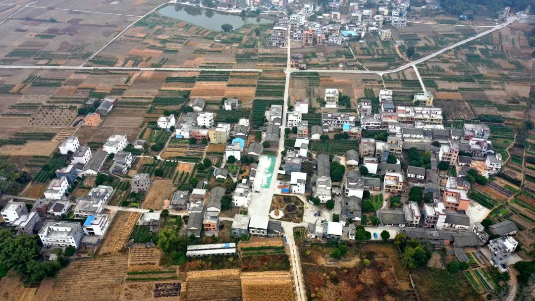 花城控股集团 花城控股集团