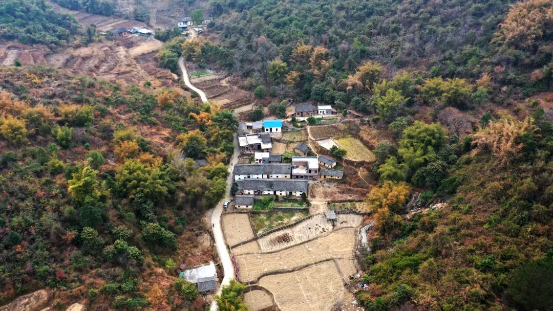 花城控股集团 花城控股集团
