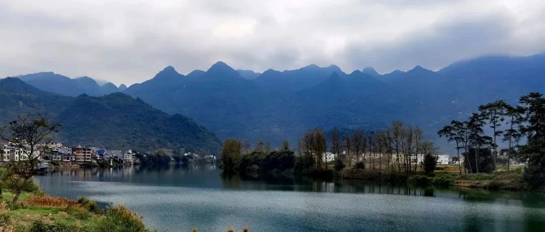 今日梦花湾丨霜轻未杀萋萋草，日暖初干漠漠沙