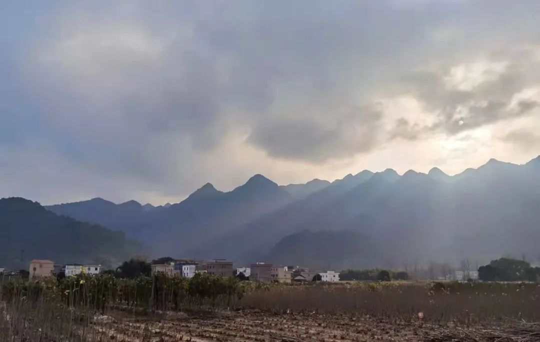 花城控股集团