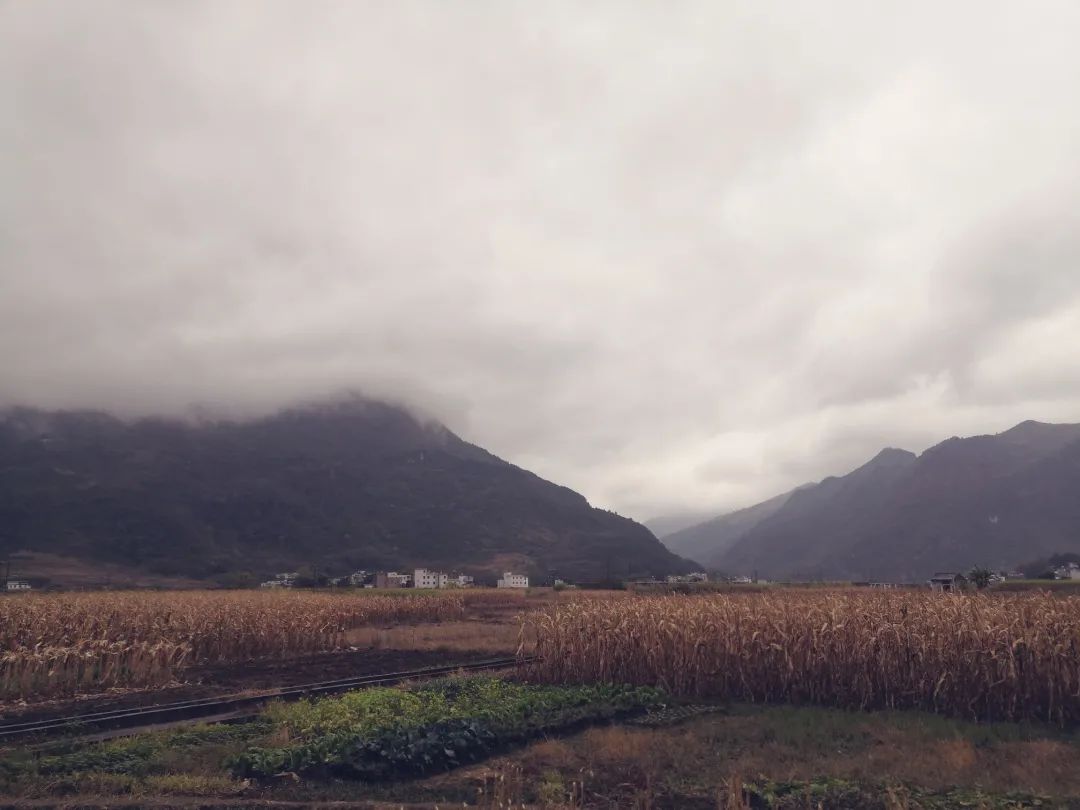 花城控股集团 花城控股集团