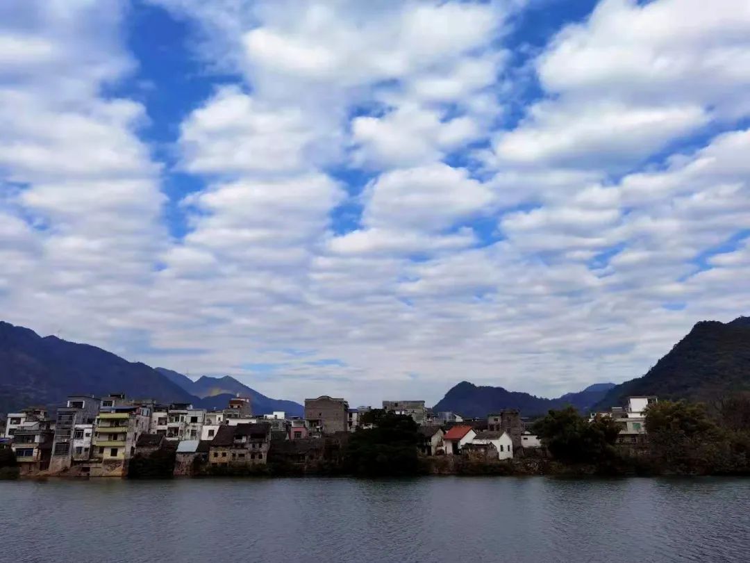 花城控股集团 花城控股集团