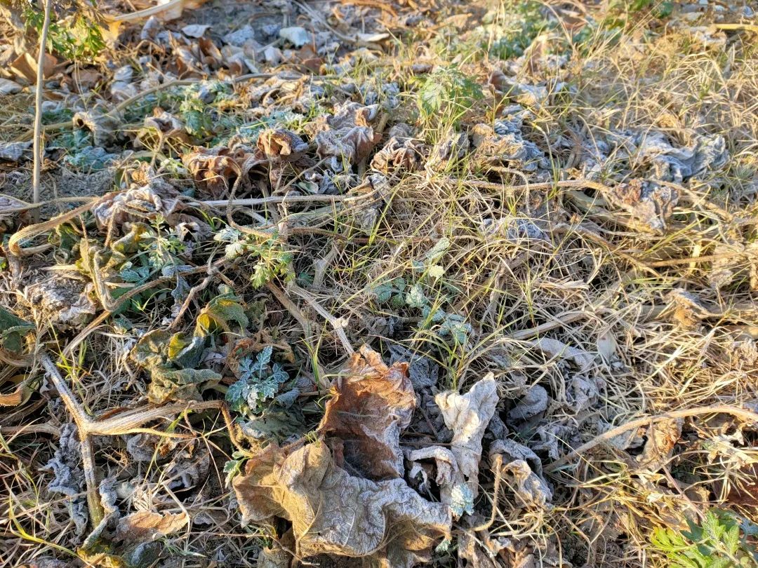 花城控股集团 花城控股集团